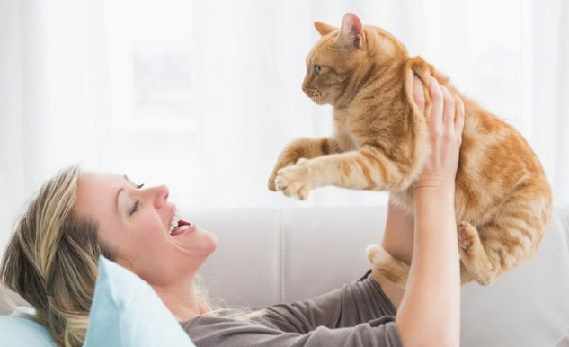 servicio en casa ceuvet veterinarios ceutí